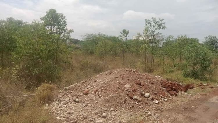 Land for Salr