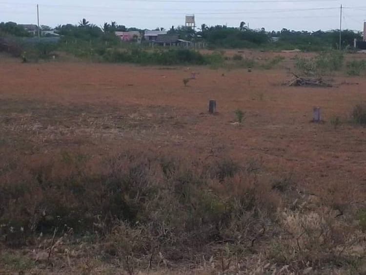 Land sale