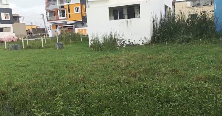 Land for sales