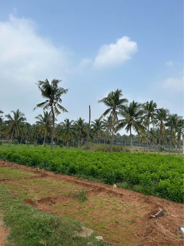 1 Acre 75 Cent Farm Land for Sale