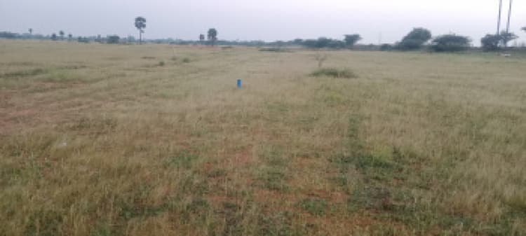 Land sale