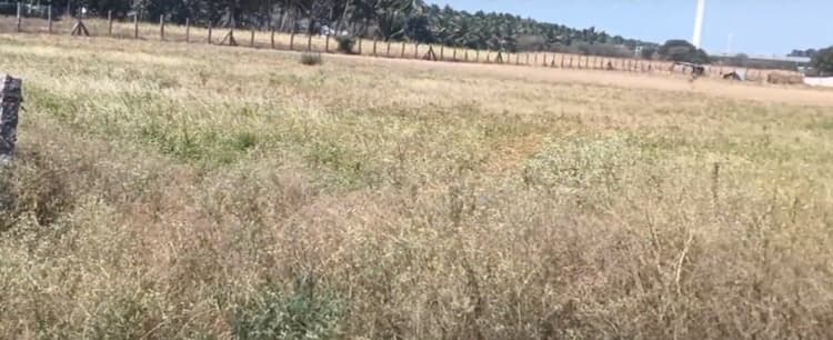 2 Acre Land for Sale