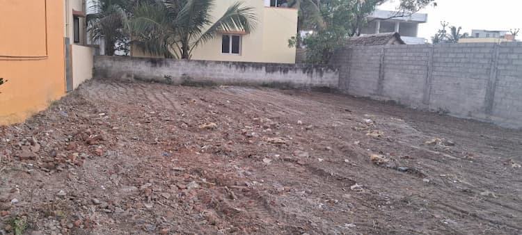 site for sle
