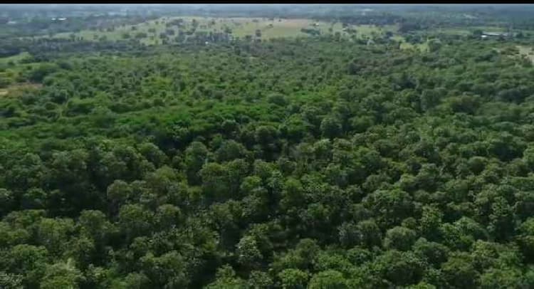 24 acres for sales