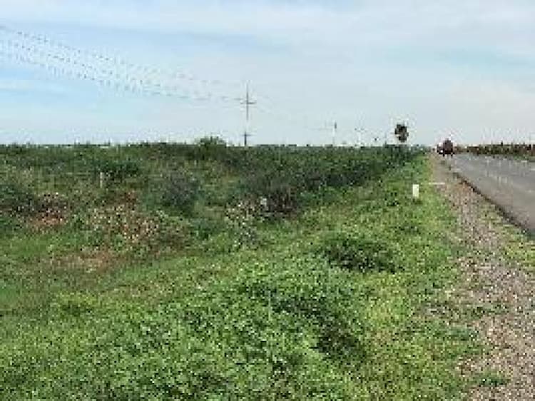 Land sale