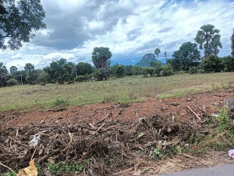 Land for Sale
