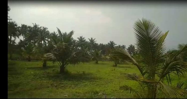 Agricultural Land 5 Acre