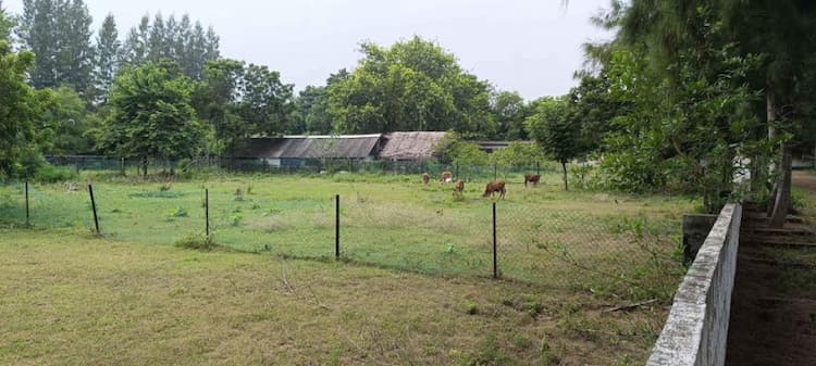 Farm land sale