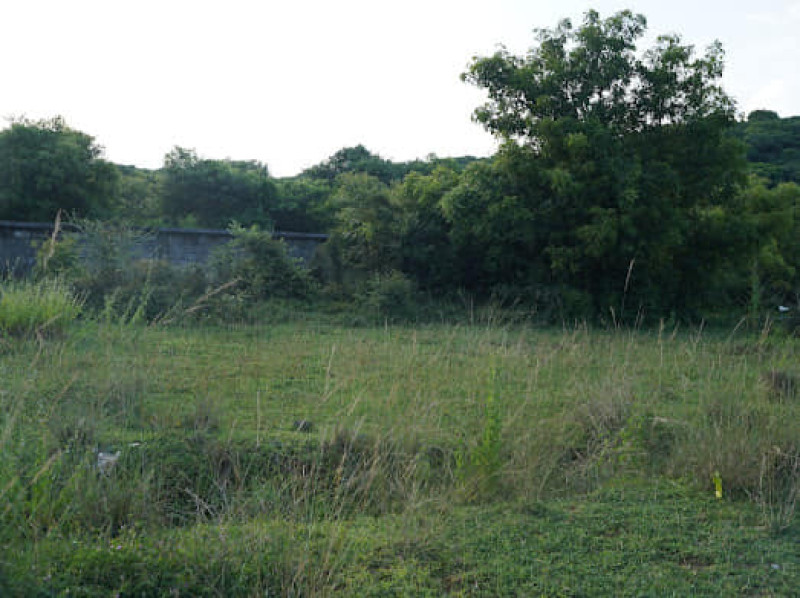 Plot sale