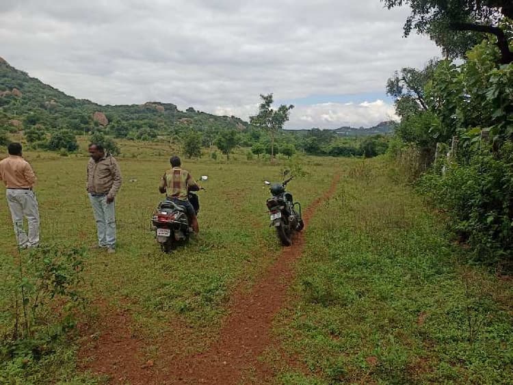 Agricultural Land