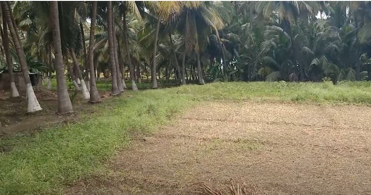 Land for sales