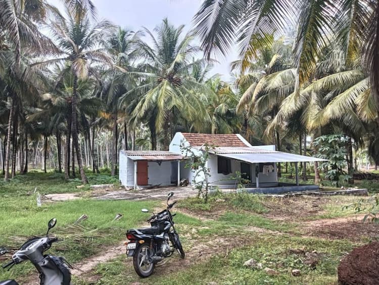 cooconut thoppu for sale