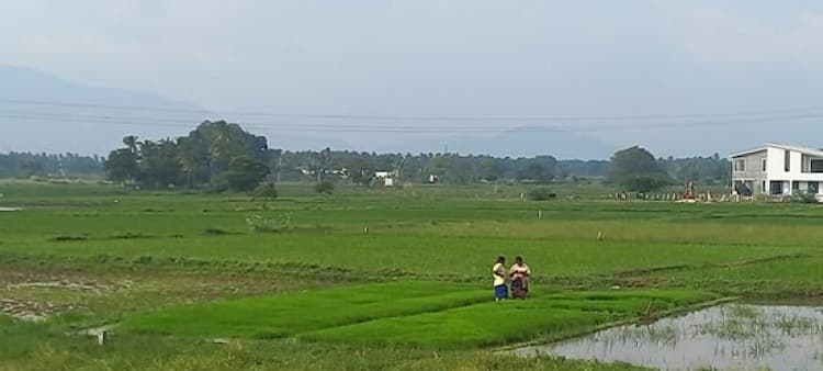 Single Property Image