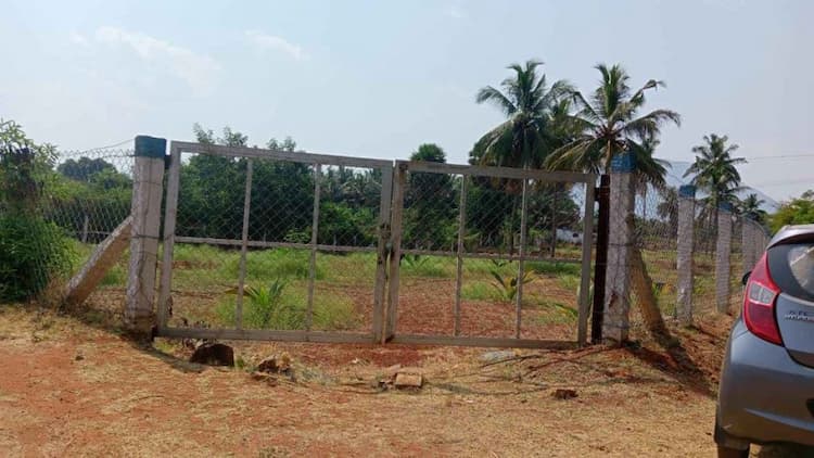 Coconut plantation for sale