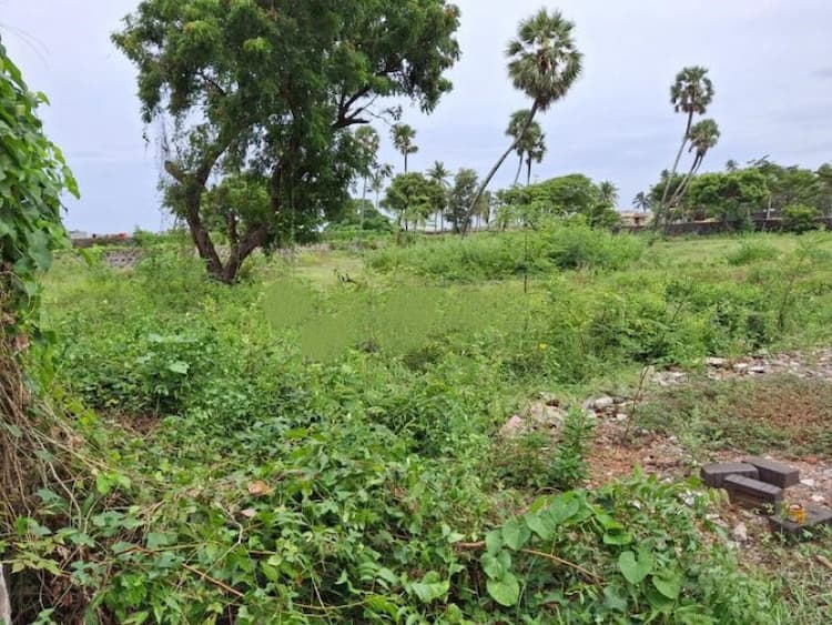 site for sale 