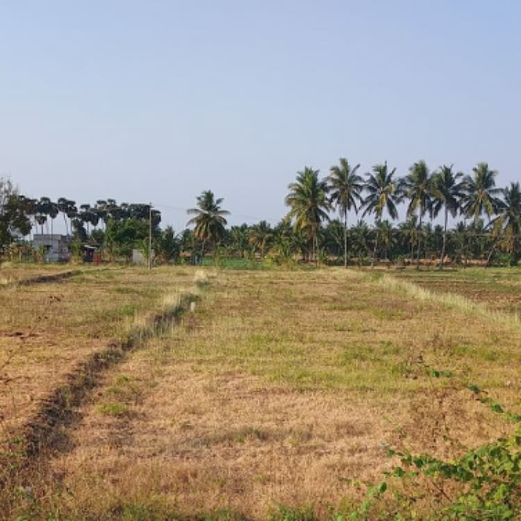 Land for sales