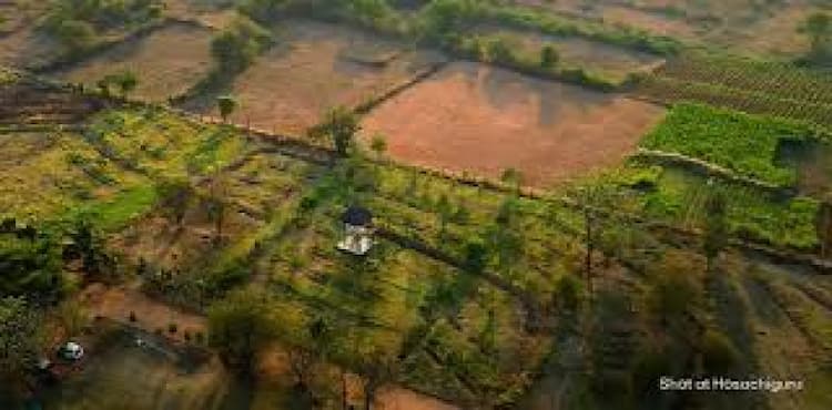 Plot for sale