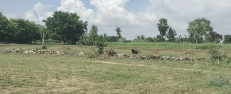 Low Budget Land for Sale