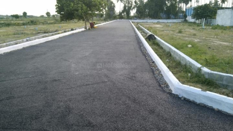 Residential Plot