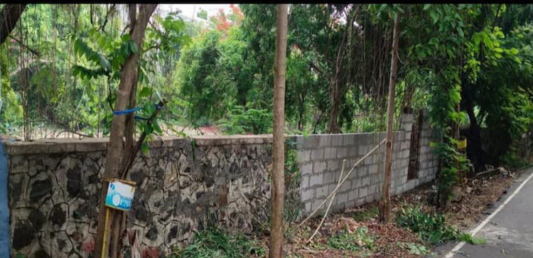 Land for sales