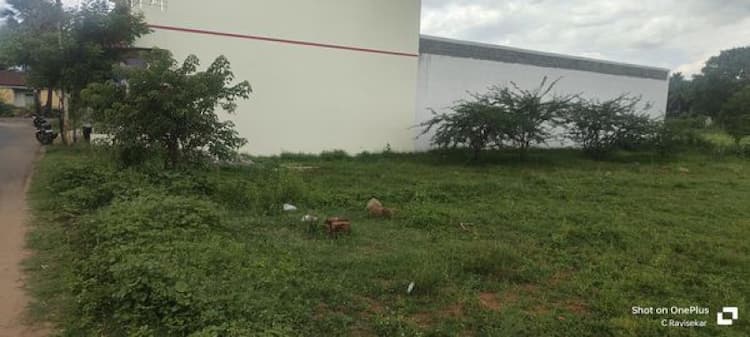 Plot sale