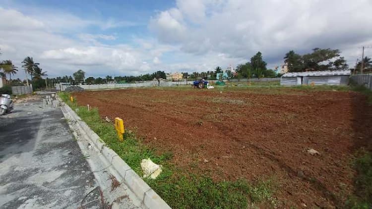 Plot sale