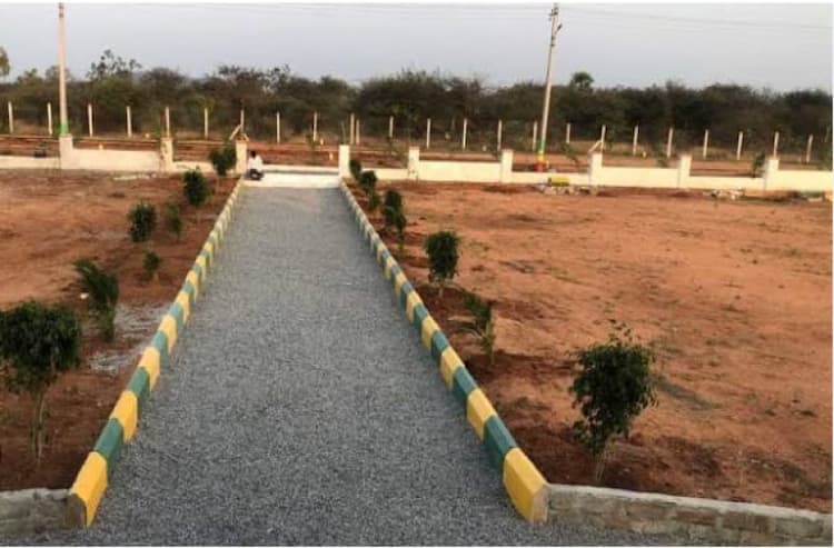 Land for sale