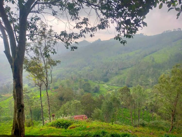 LAND FOR SALE OOTY COONOOR HIGHWAY ROAD
