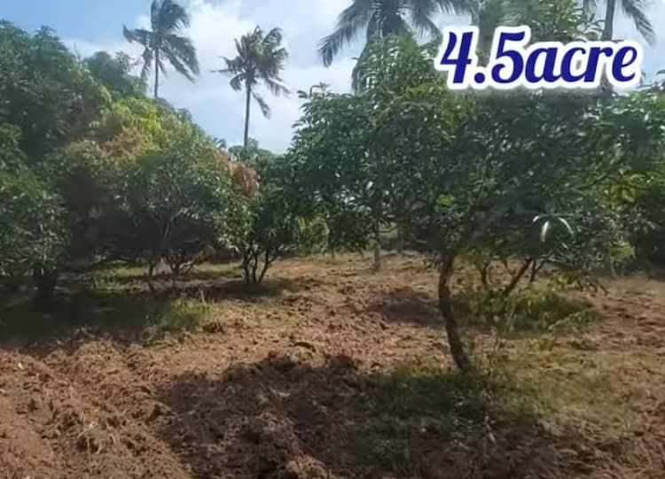 land for sales