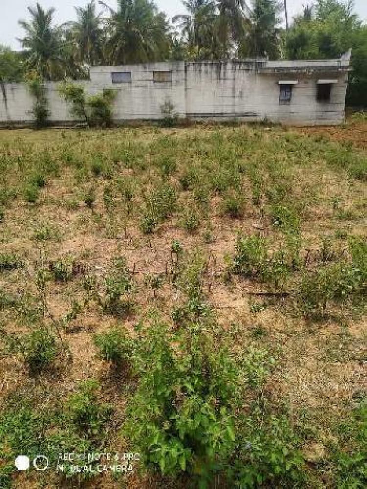 Plot sale