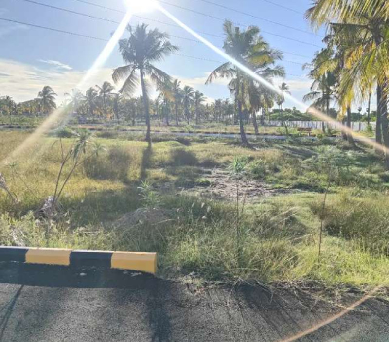 plot for sale 