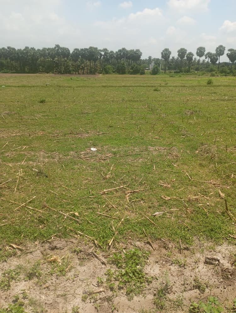 Plot sale