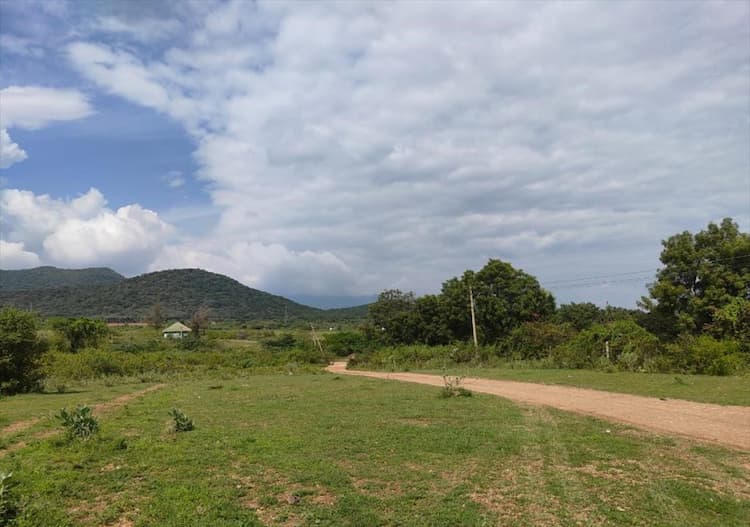 Single Property Image