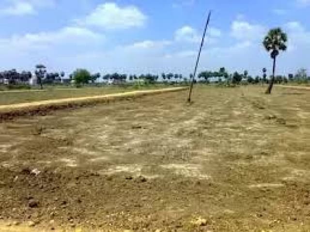 Trending Projects Image