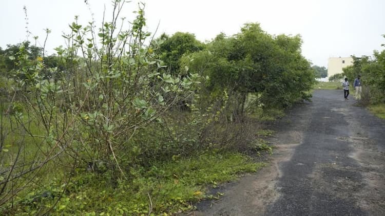 DTCP Approved - Residential Plot For Sale 