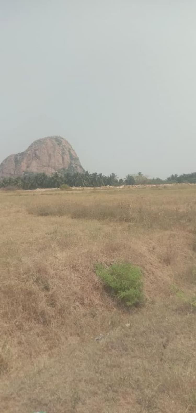 4 Acre land for sales
