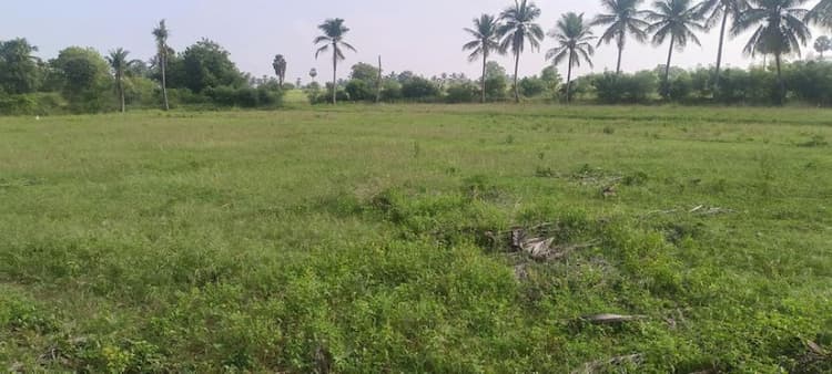 agri land for sale