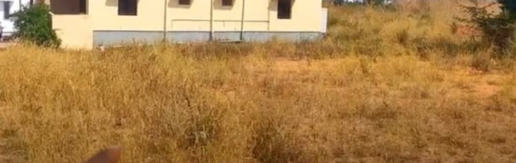 land for sales