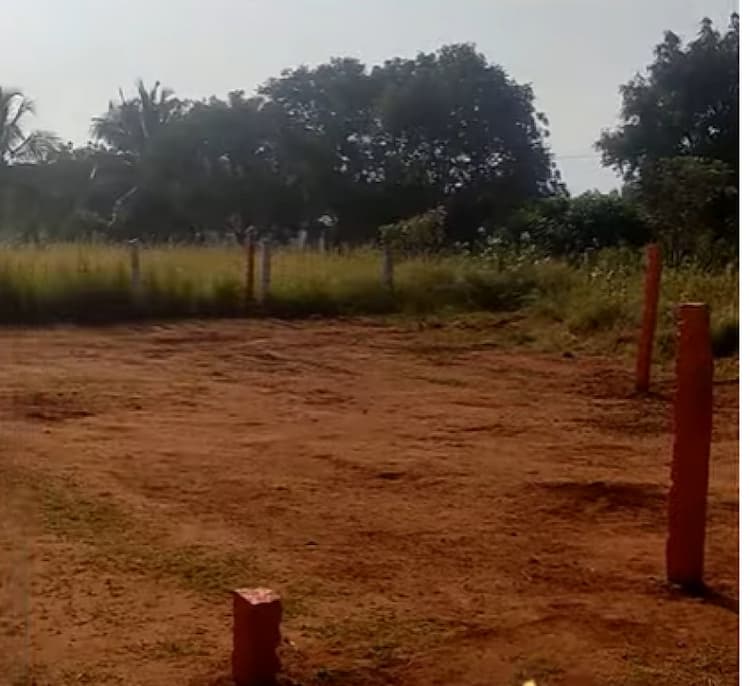 Land for sales