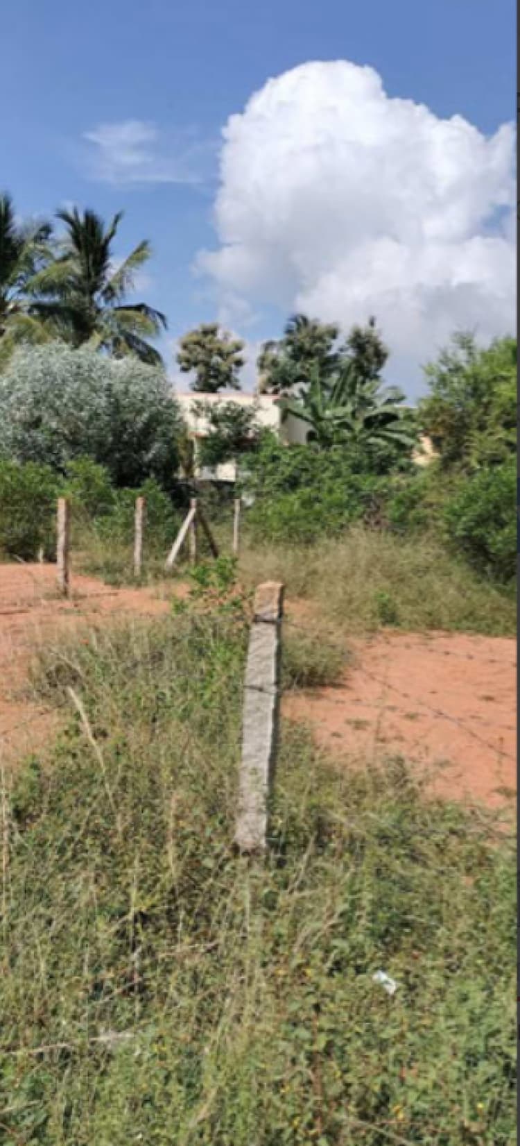 Plot For Sale