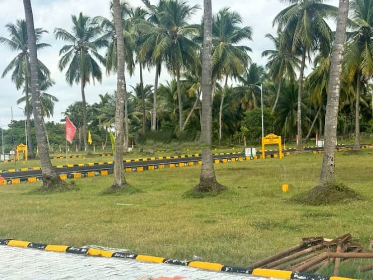 plot for sale 
