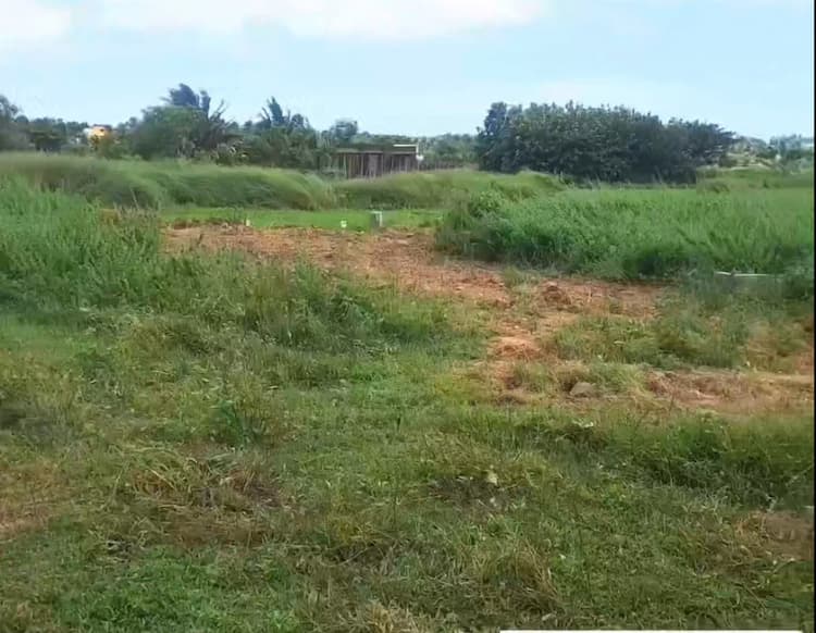 Plot sale