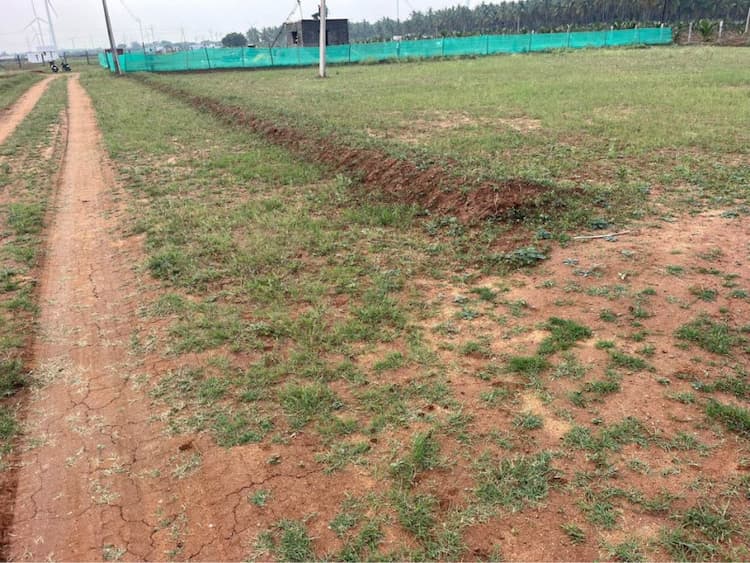 1/2acre land sale 