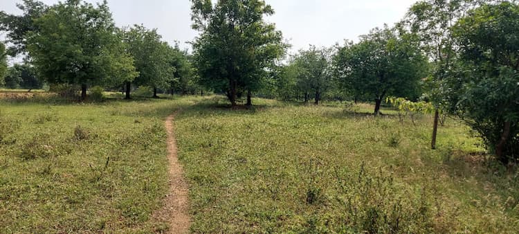Agricultural Land