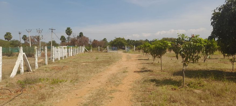 site for sale