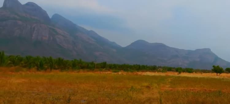Single Property Image