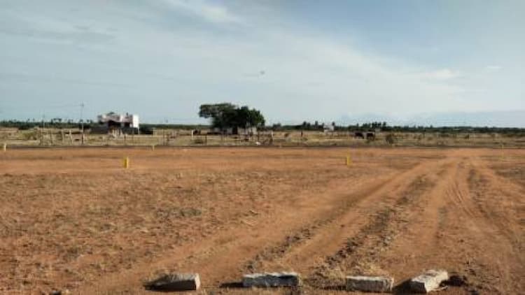 plot sale