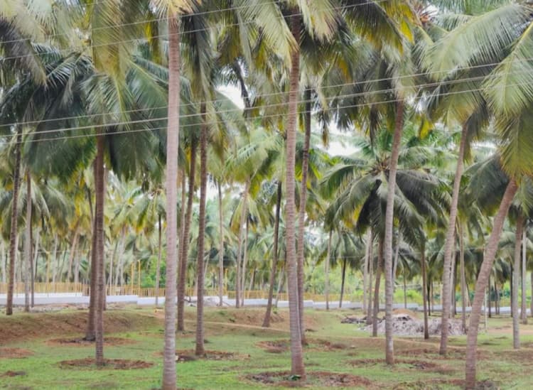 Single Property Image