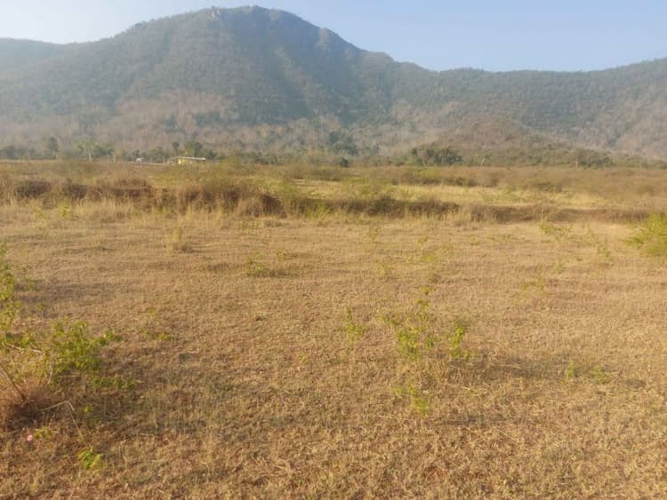 land for sales