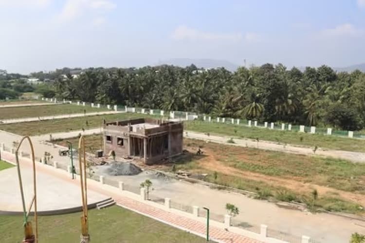 Residential Plot
